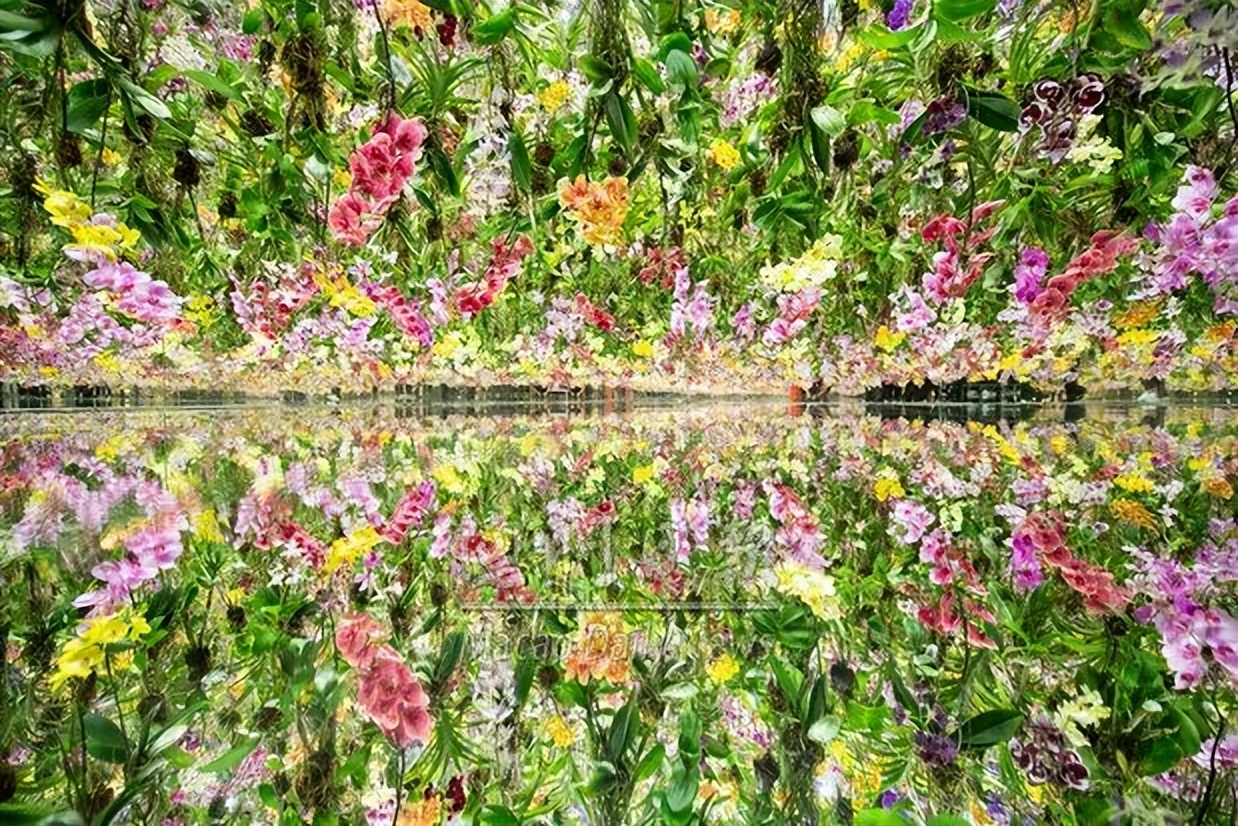 超自然空间博物馆,超自然空间研究中心