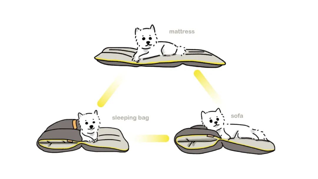 2022年iF设计奖：宠物用品类