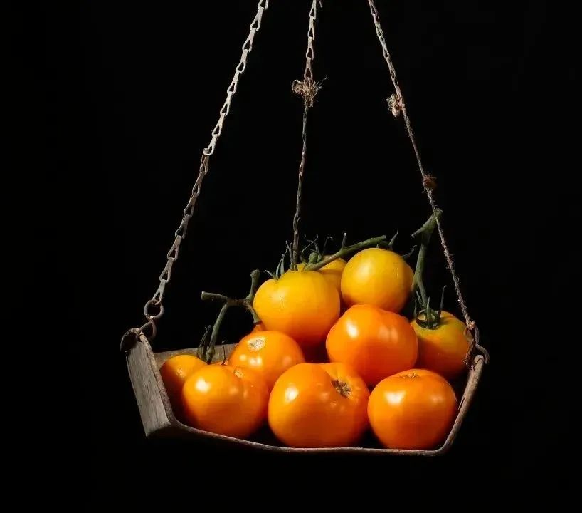 巴彦淖尔游玩推荐,巴彦淖尔旅游必去十大景点