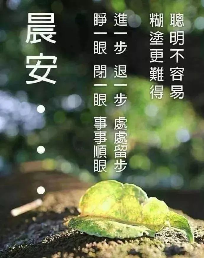 周三早上好祝福语大全,周一早上好微信祝福语大全