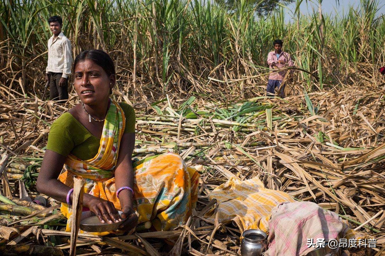 印度无子宫妇女村,印度为怀孕6个月女子剖腹