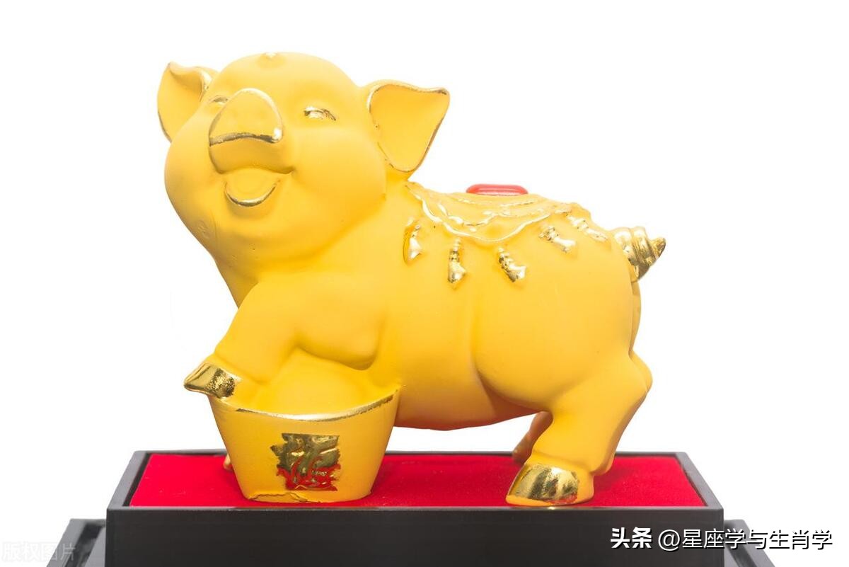 这几个生肖天生贫穷后天逐步富裕,天赋异禀的生肖