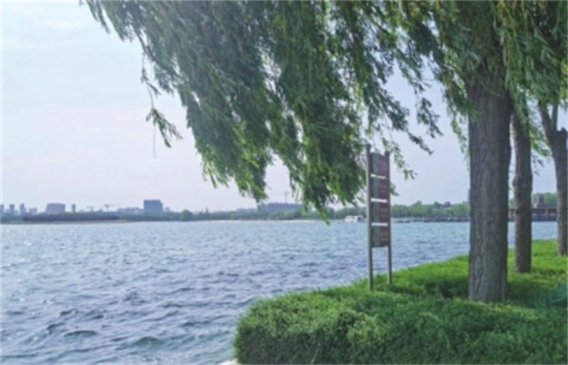 初夏六月来郑州公园邂逅美好