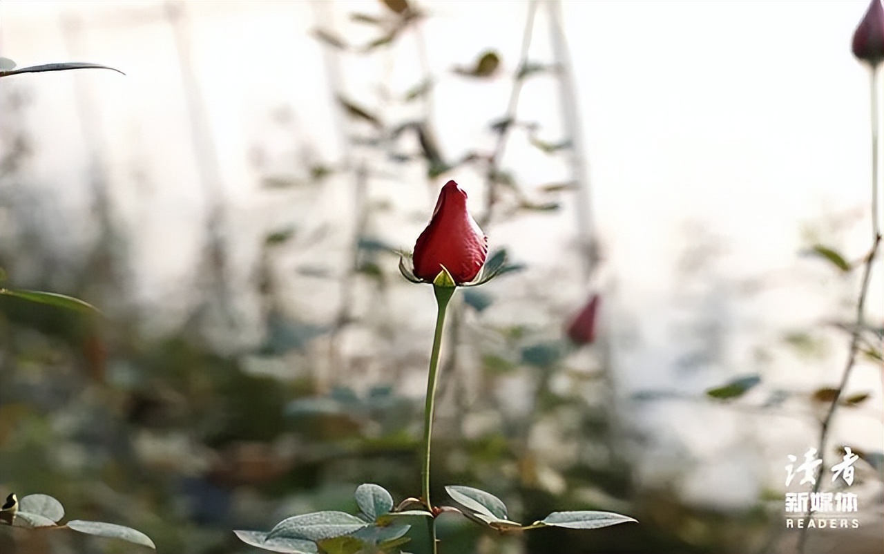 离婚率又创新高！一个灵魂问题：男女收入相差多少，在一起最幸福？