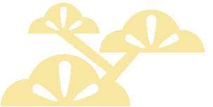 2024年辽宁省高考最低投档线,2024辽宁各地高考情况