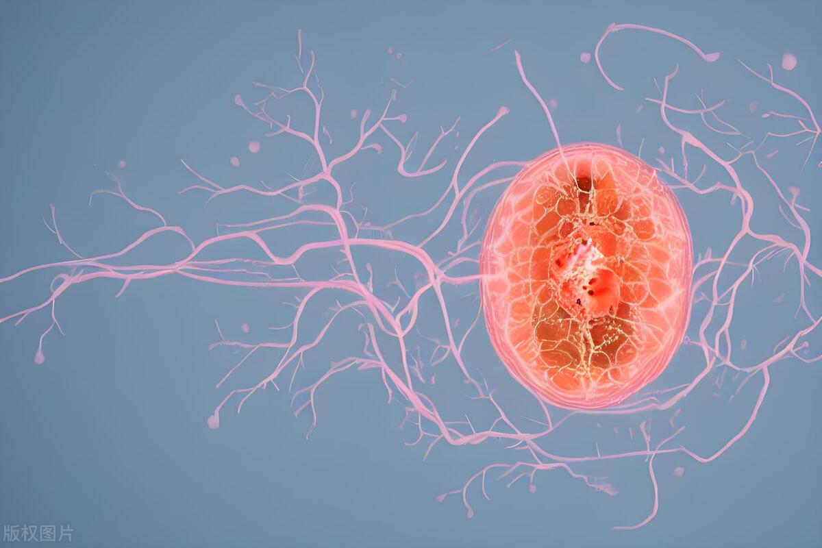 三种牙膏或暗藏致癌风险,牙膏危害有哪几种