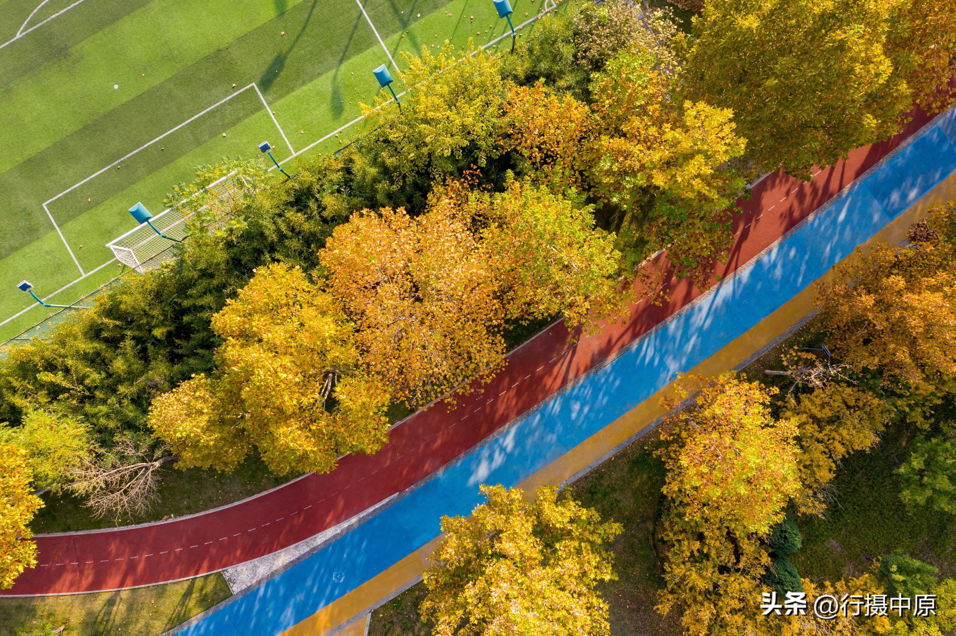 郑州这片“藏”在五彩植被之间的球场,“运动迷”值得打卡
