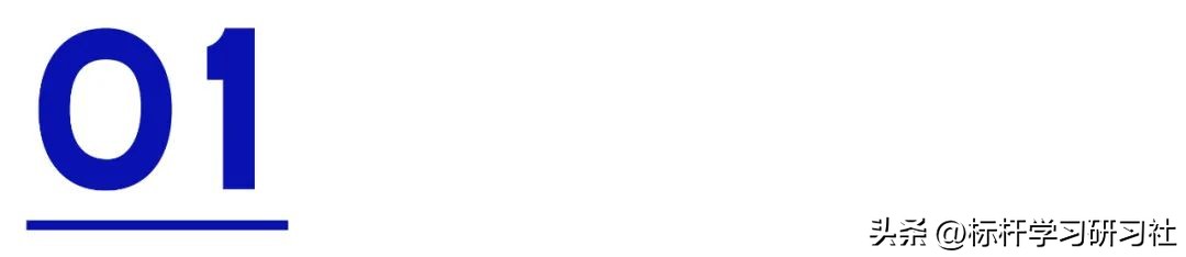 中国网红作死事件,最作死网红