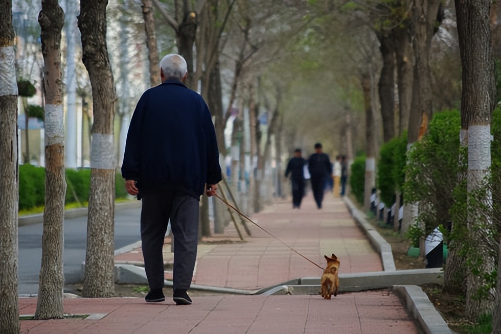 60岁经常散步有什么效果,经常散步对身体健康有益
