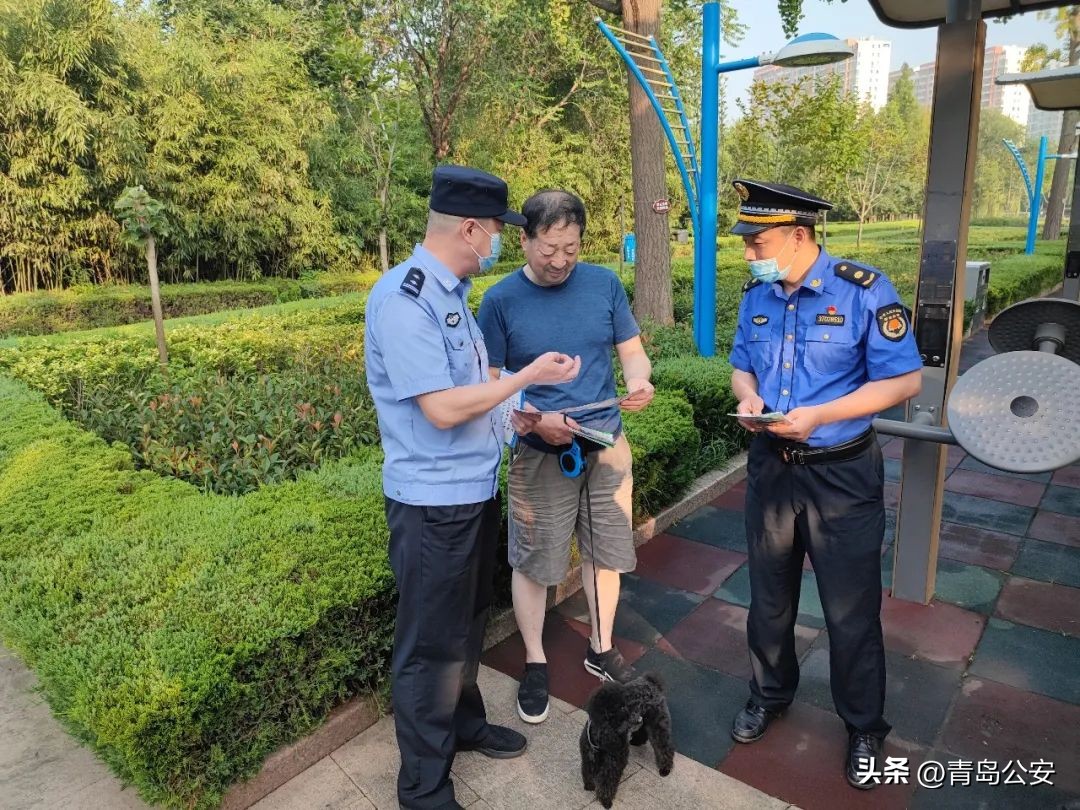 胶州家养狗,胶州禁养什么犬