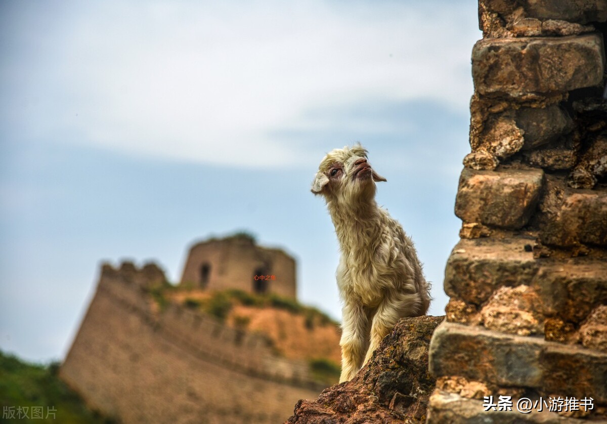 推荐几本经典男主腹黑穿越小说,男主穿越的历史架空小说推荐