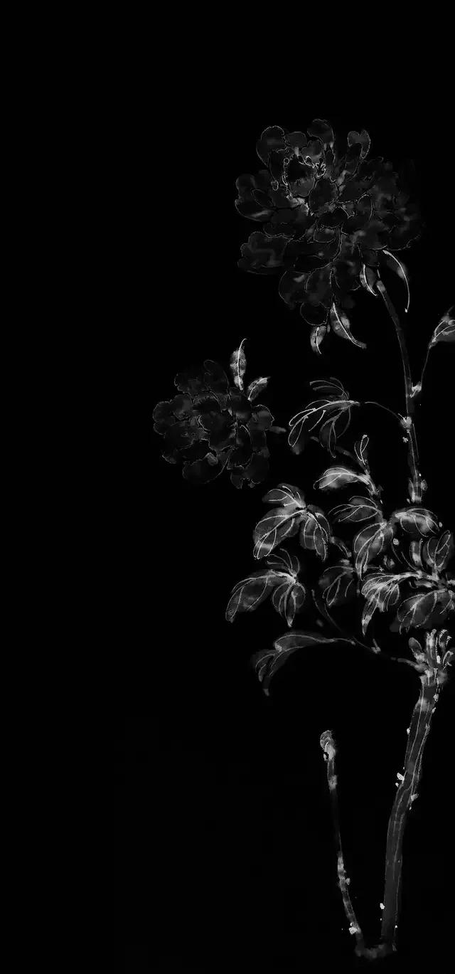 黑暗系壁纸黑底文字,黑暗色系的壁纸