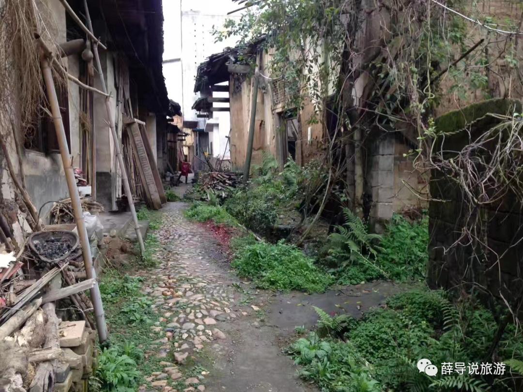 唐江记忆,顺流逆流男声新版沧桑