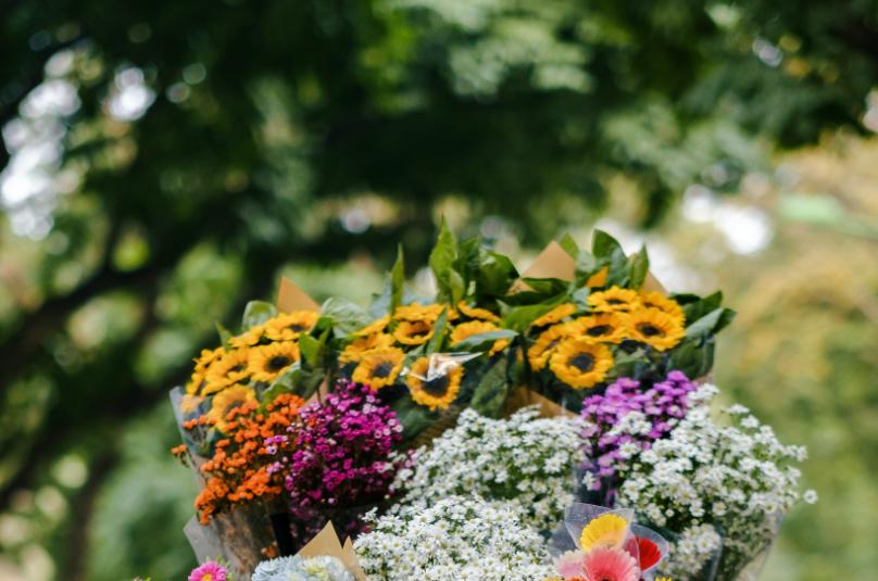 520情人节小礼物,520没收到礼物情人节没收