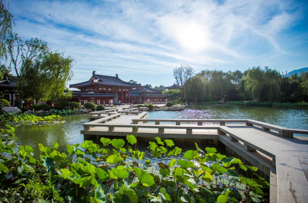 来西安过年这篇攻略就够了,来了西安应该玩什么