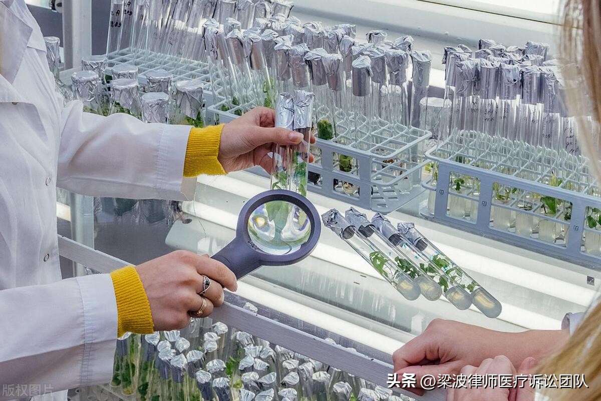 医疗服务合同纠纷审判,医疗服务合同纠纷案