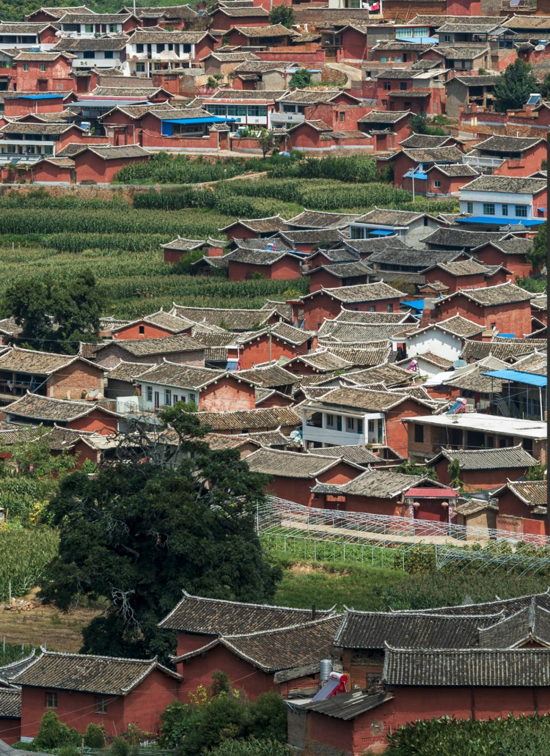 四川最适合冬季去的地方,四川最适合冬天去的地方