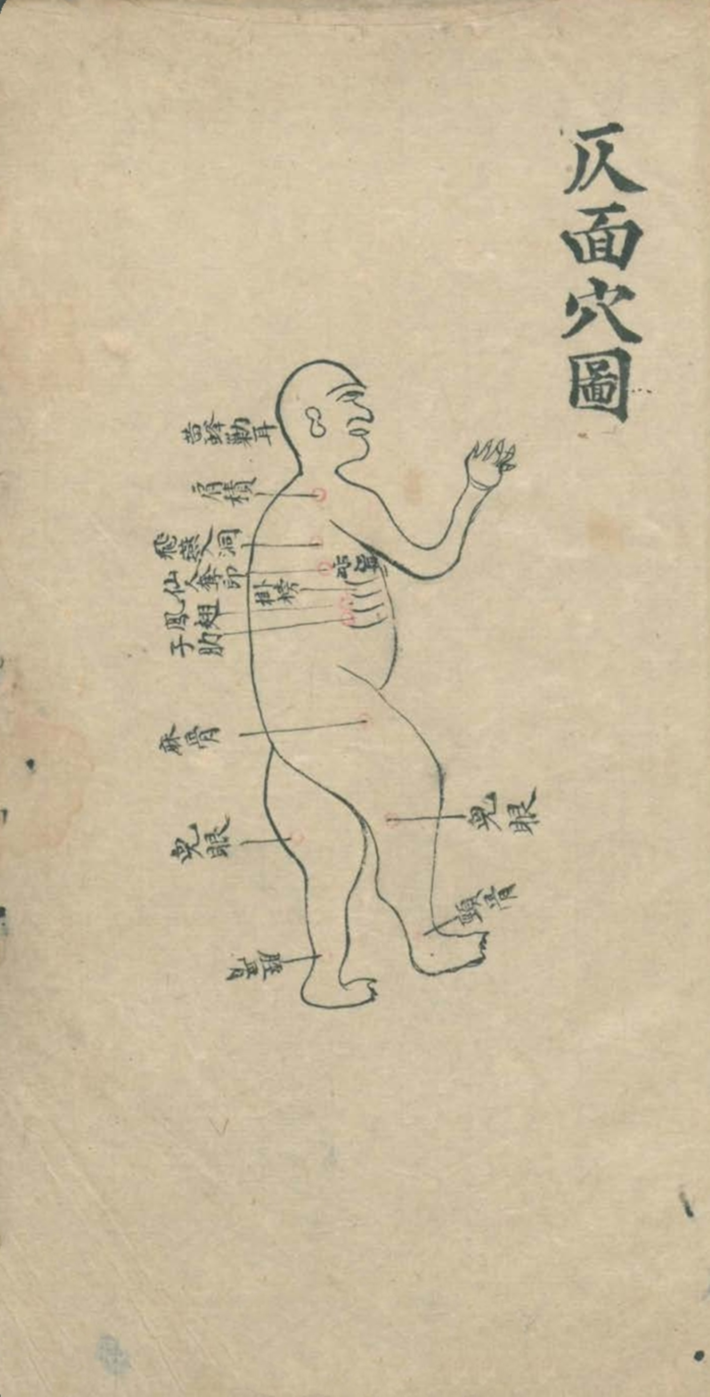 最实用的跌打药方,祖传跌打秘方100首