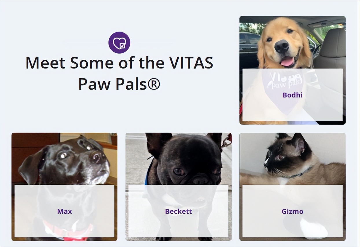 老年安宁疗护什么意思,临终安宁疗护机构费用