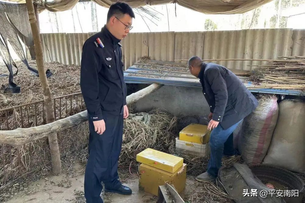 捕野猪，挖“野草”，抓！