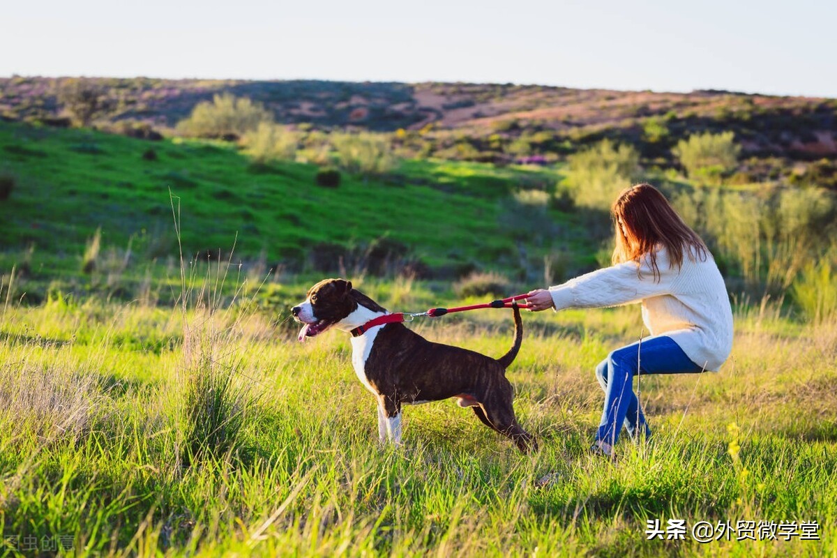 中国外贸单证有哪些,贸易单证有什么作用