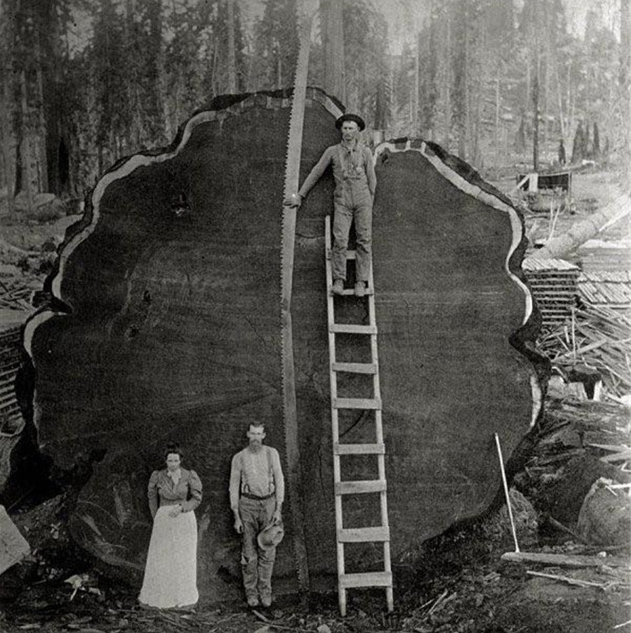 美国女人的收藏品，全美服装比赛上的佳丽，40张照片带你看全球