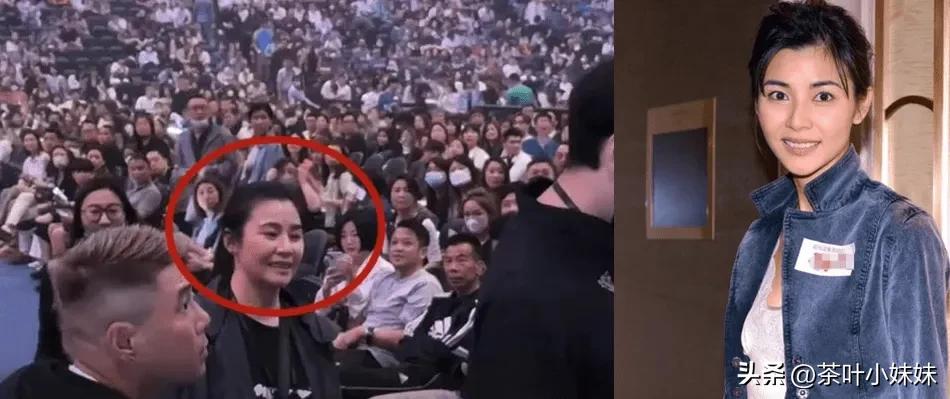 蒙嘉慧郑伊健演唱会,郑伊健2015演唱会蒙嘉慧出现