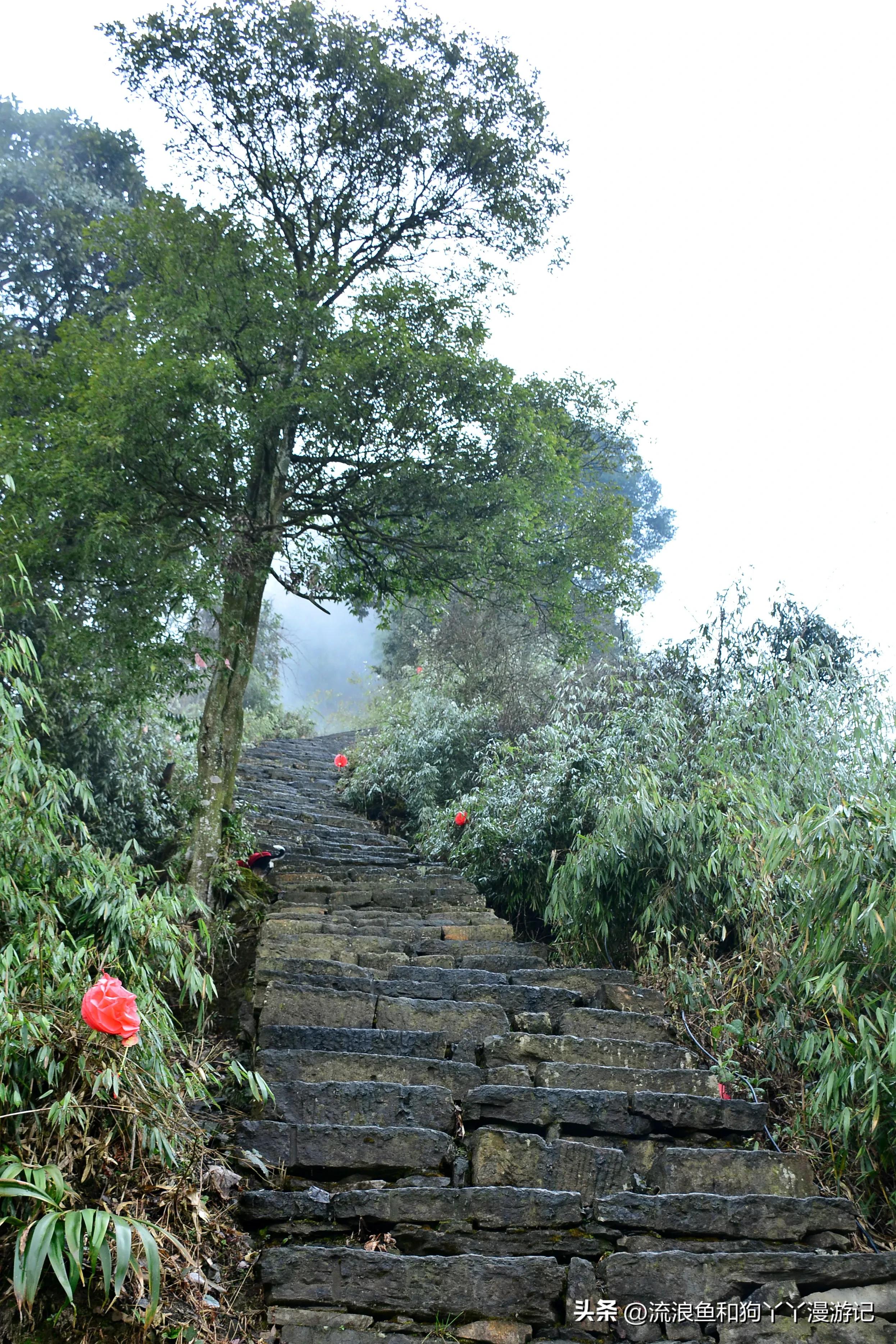 四月份成都近郊一日游好去处,2022成都近郊看雪一日游最佳去处