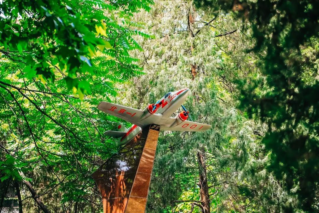 北京航空航天大学各专业招生人数,北京航空航天大学2023报考人数