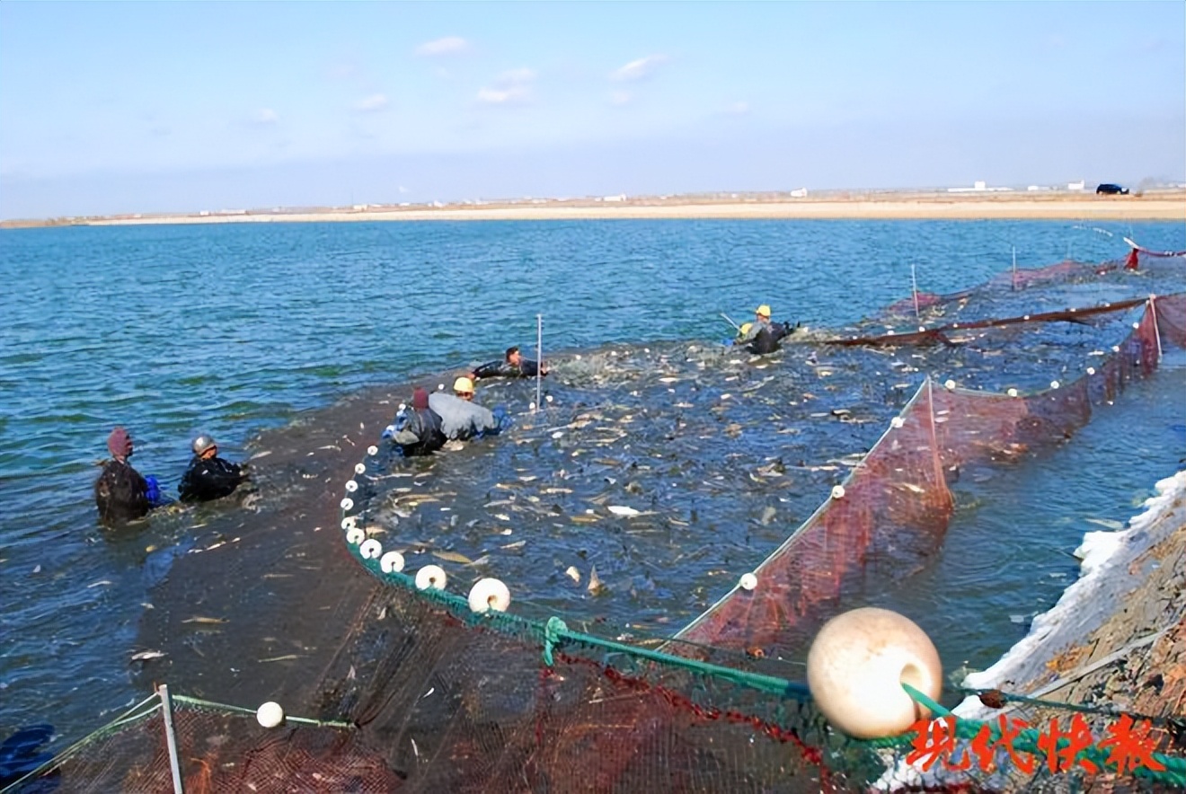 银宝集团,誓言返厂