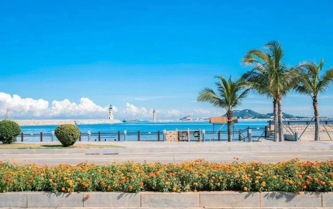 广州海岛旅游攻略一日游路线,珠海一日往返海岛旅游攻略