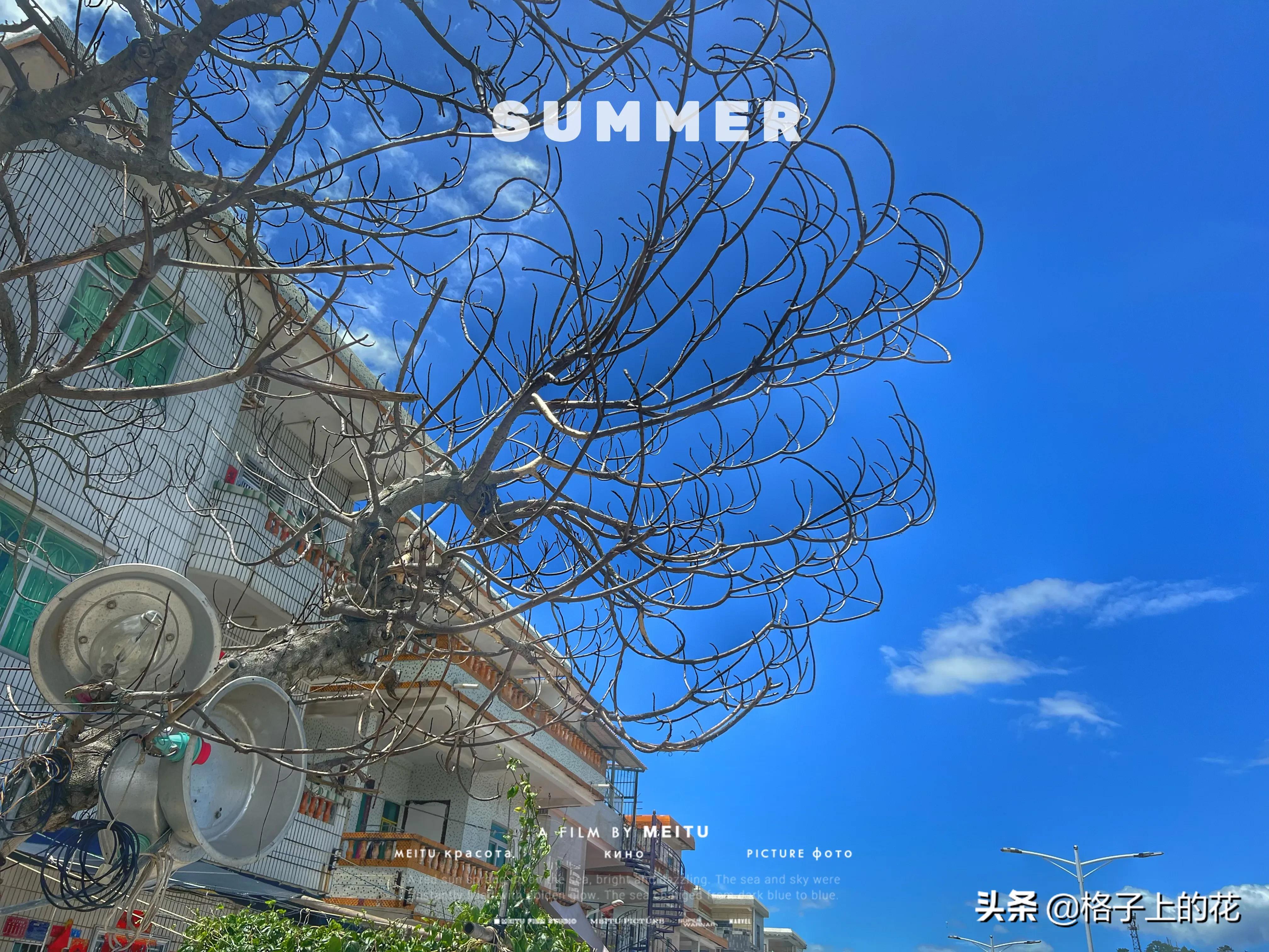 惠州有哪些小渔村好玩,惠州渔村