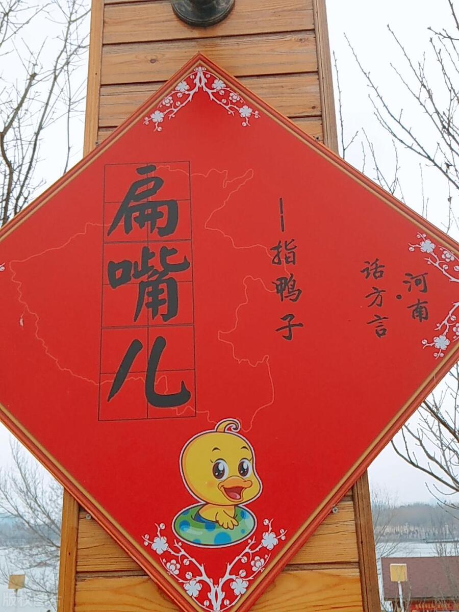 常见的方言土语字词读写,方言和普通话发音的字词