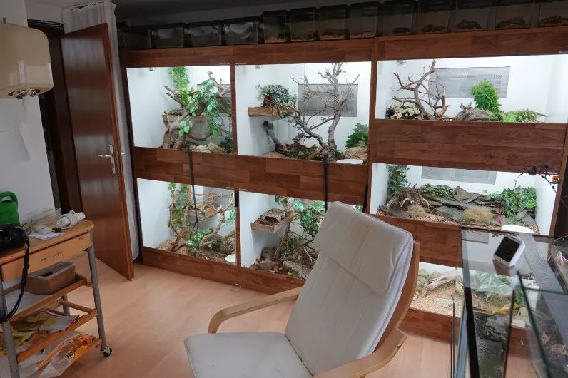 「原来欧洲有这么多种蛇？！」偷师卡塞尔的豢龙大师·下