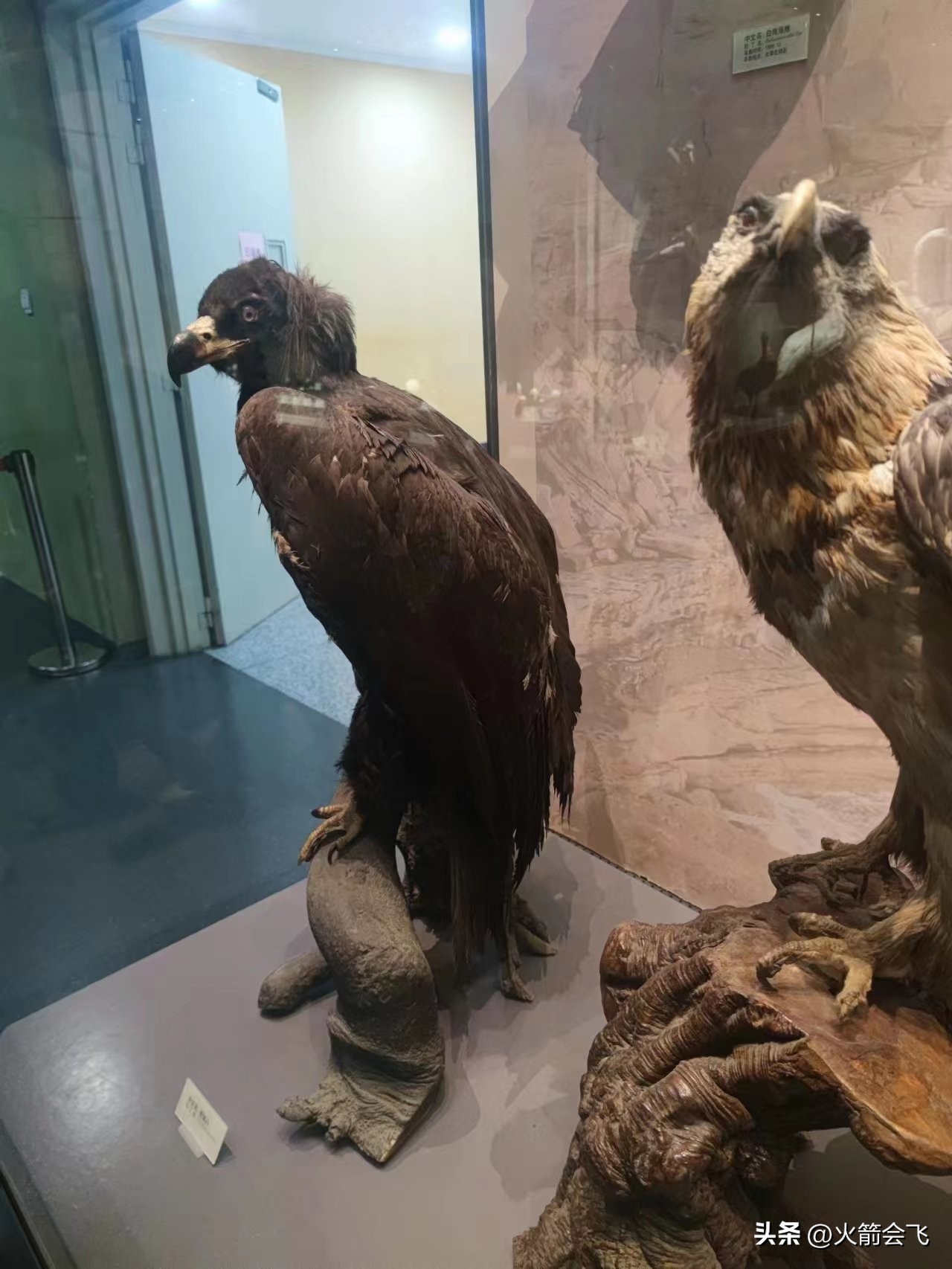 天津旅行攻略七日游价格多少,12小时极限游天津