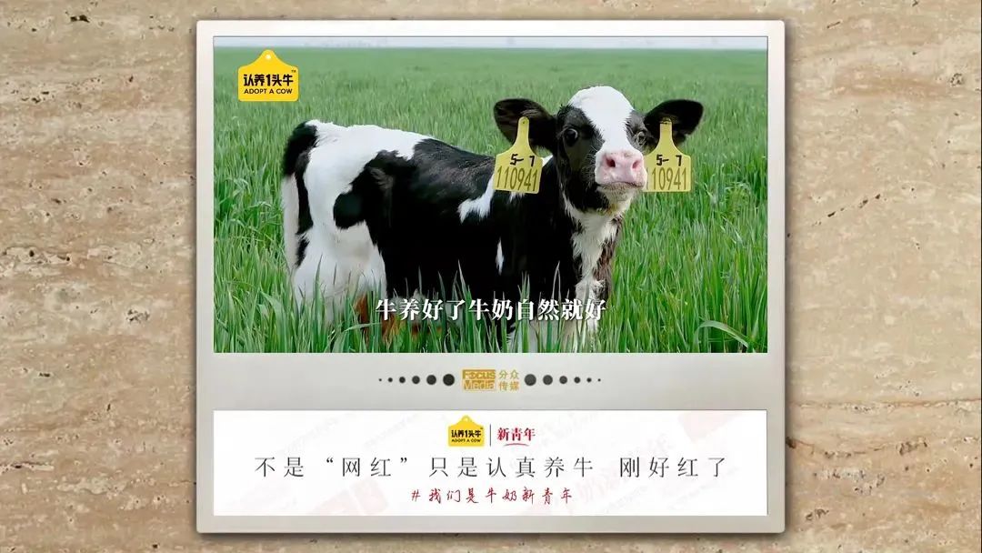 品牌如何取名,品牌名怎么起容易通过