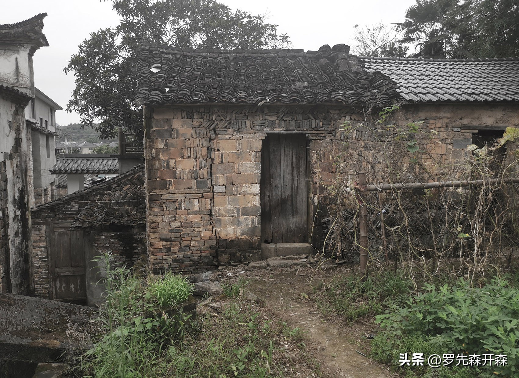 残破倒塌的石房与土屋的改造新生，杭州——让建筑空间与自然对话