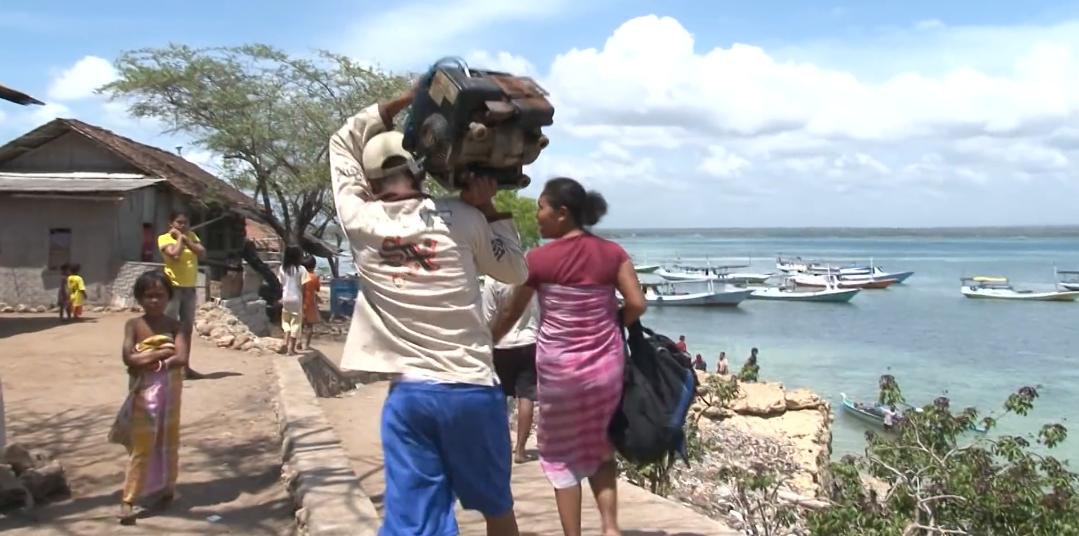 渔民捕获虎鲨,真实渔民钓到的虎鲨