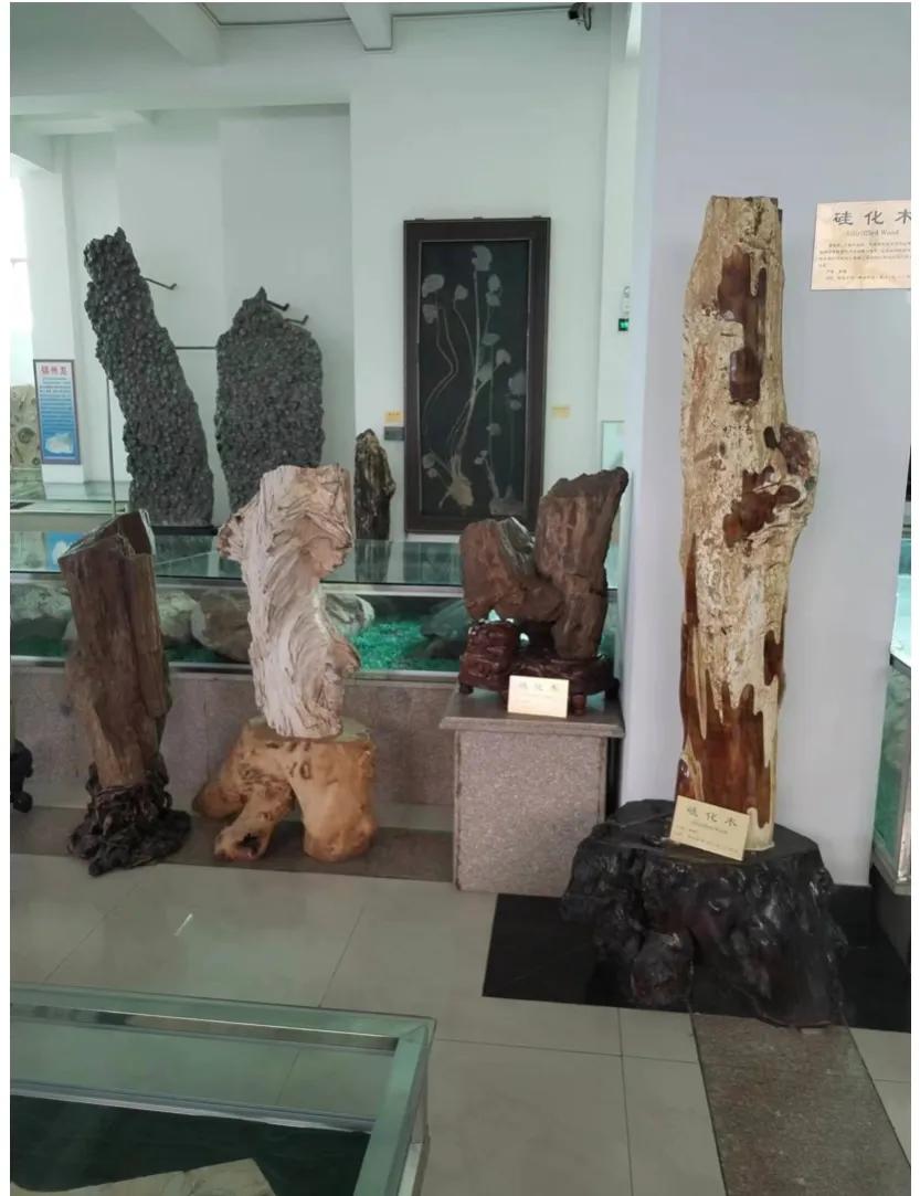 平邑围棋大会,平邑最新围棋视频