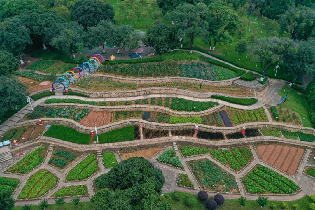 广州儿童公园游玩中心,广州市儿童公园有什么东西玩