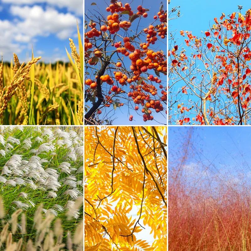 降温天气寒冷,降温降雨冷冷冷