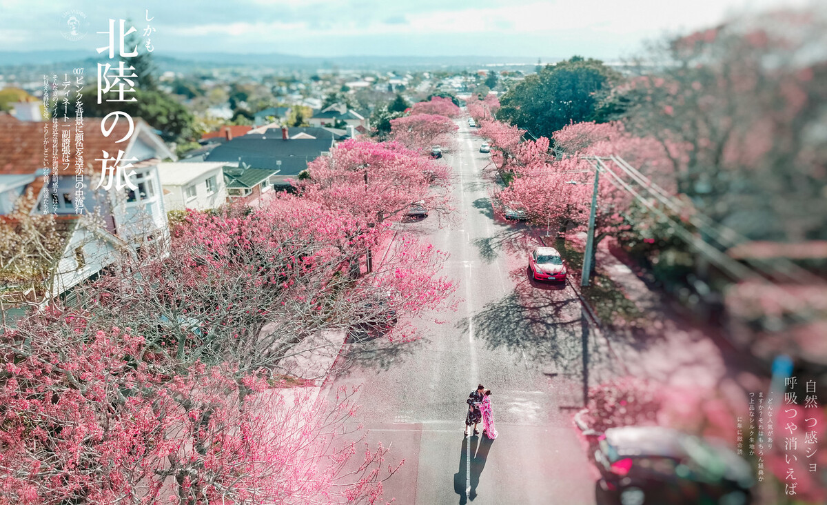 新西兰到底是什么样子的,你以为的新西兰vs现实中的新西兰