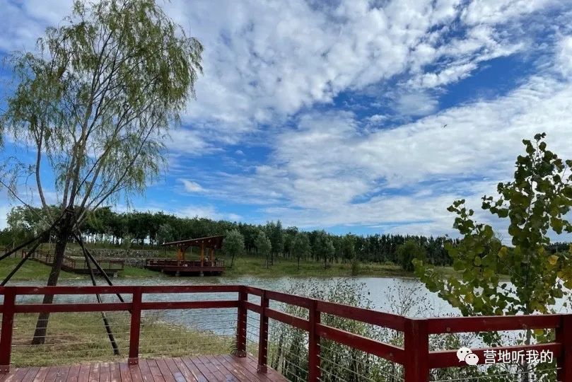 捞小河里的小蝌蚪,上海抓小蝌蚪的公园