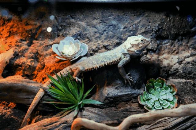 幸福旅程，今天，免费玩！（附宠粉大礼包，让快乐加倍）