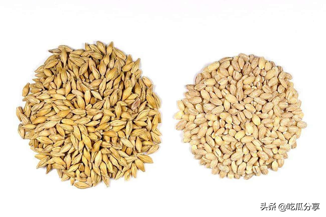 罗马人如何训练腹肌,罗马椅健身方法