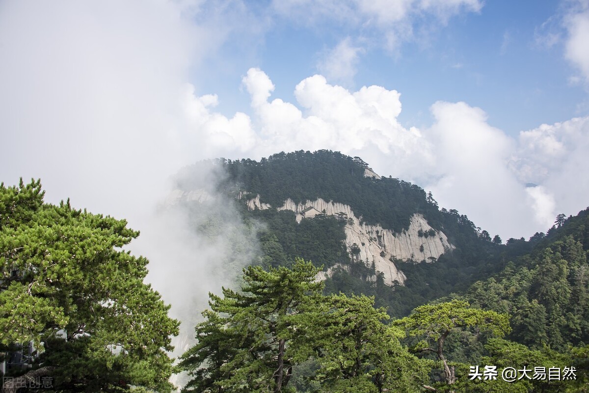 道德经负阴而抱阳讲解,万物负阴抱阳是道德经第几章说的