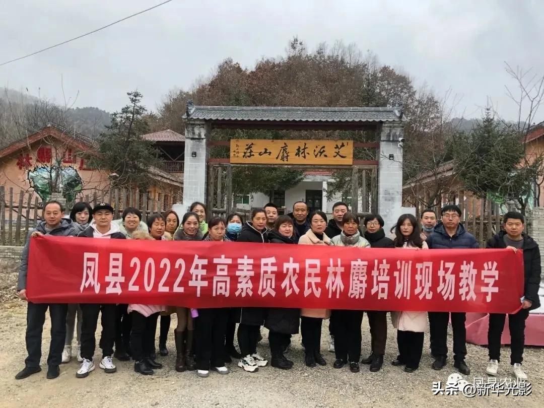 发展林麝养殖激活致富密码,林麝养殖最新技术