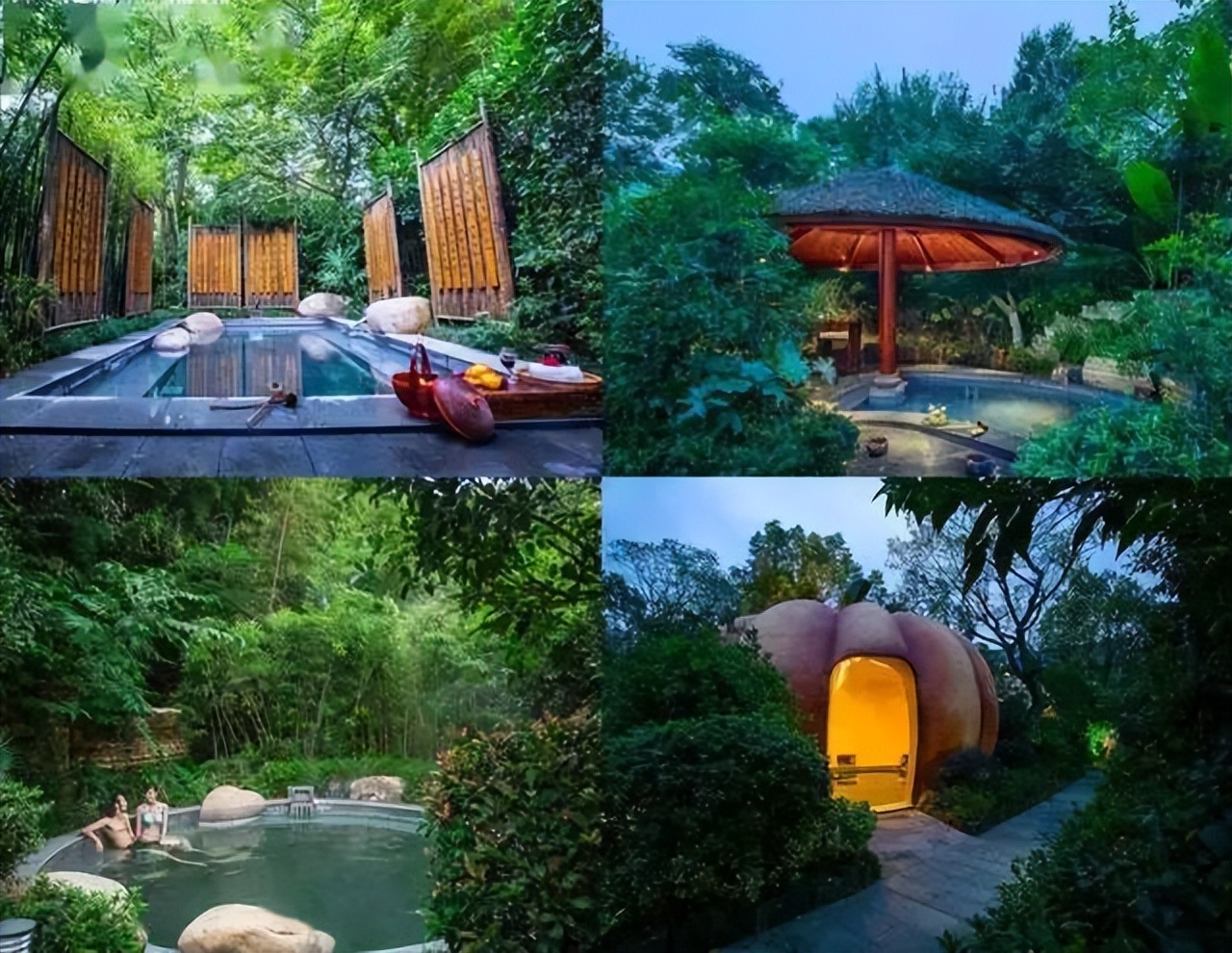 南山竹海御水温泉竹溪谷酒店,御水温泉竹溪谷酒店赏竹