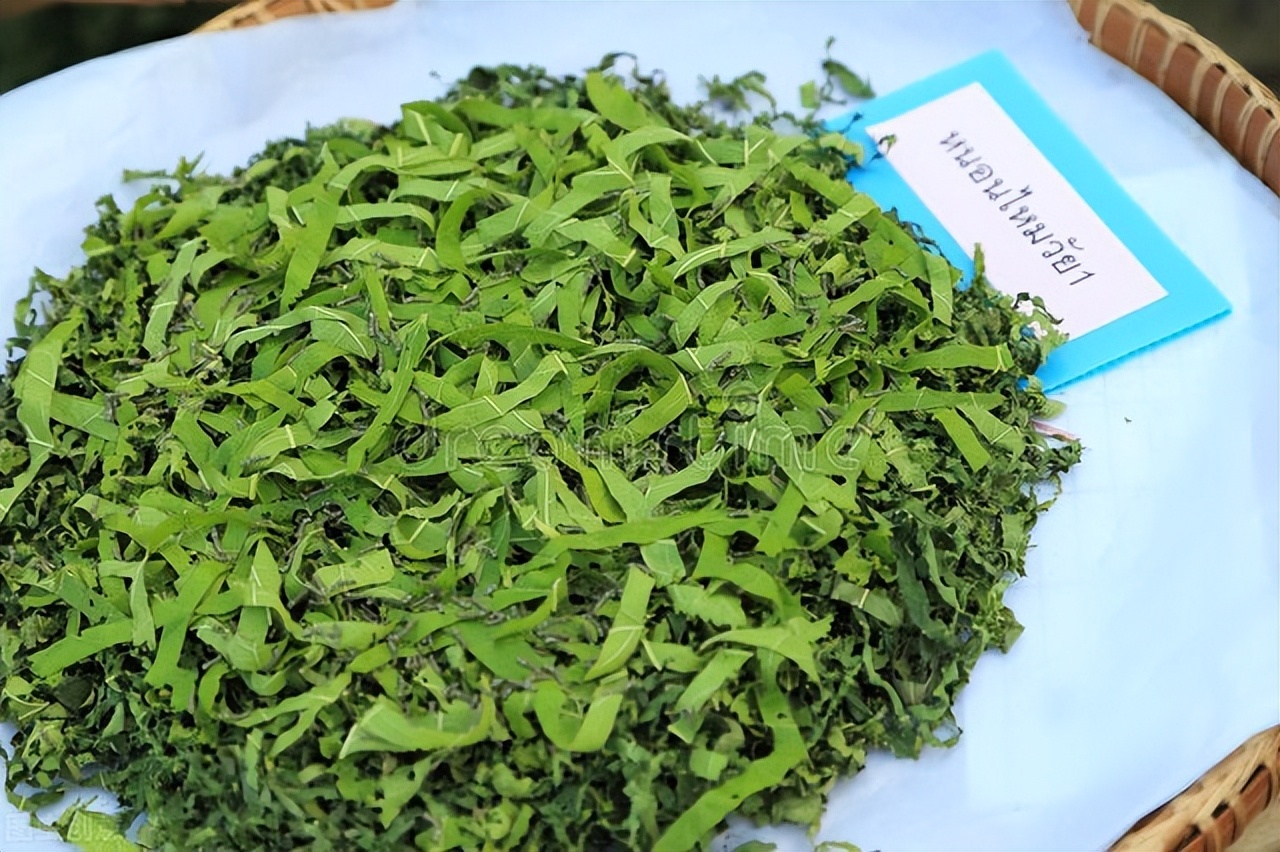 世上本无病,世上本无高血压只有肾气不足