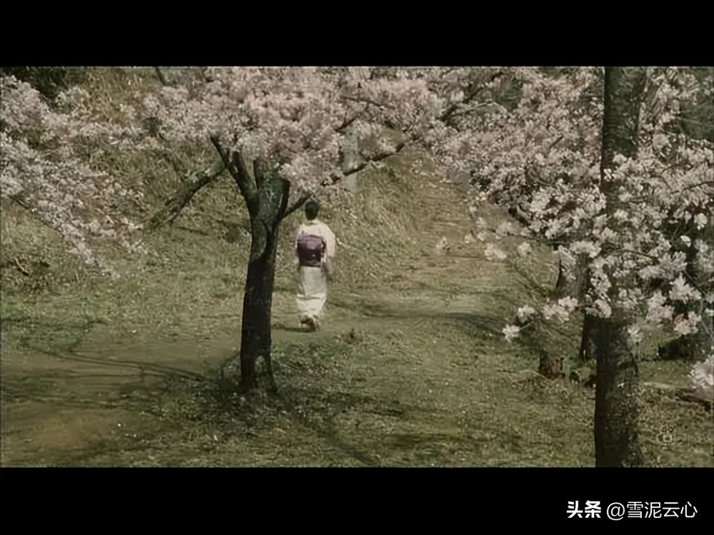 时雨之记电影讲解,时雨之记完整版